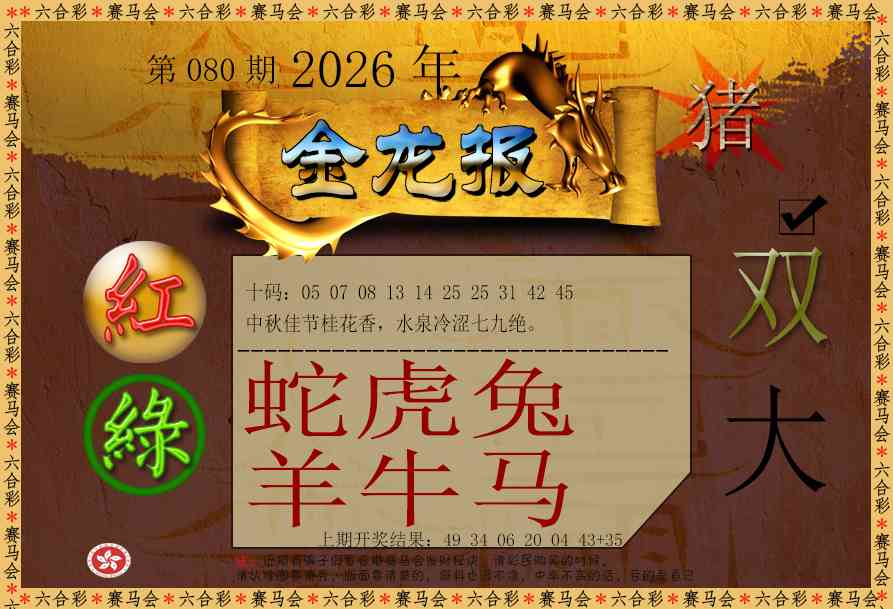 080期金龙报[图]